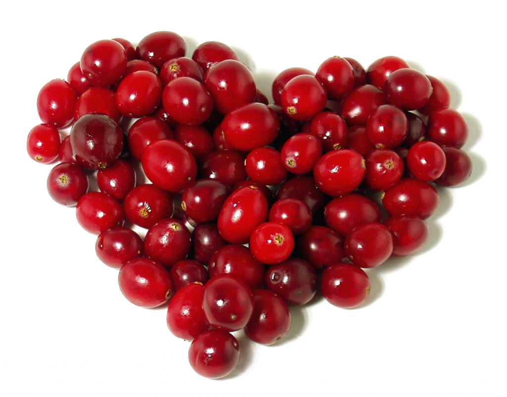 Cranberry o poder que essa frutinha tão delicada oferece para a saúde